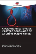 ANGIOARCHITECTURE DE L'ARTERE CORONAIRE DE LA CHÈVE (Capra hircus)