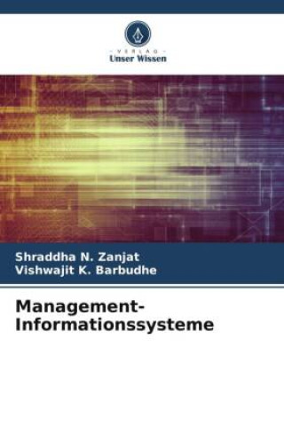 Management-Informationssysteme