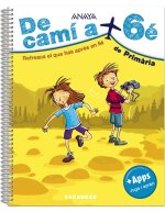 DE CAMI A 6E