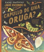 ¿QUE ESCONDE EL CAPULLO DE UNA ORUGA?
