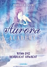 Aurora Academy (Band 1) - Wenn das Nordlicht erwacht