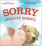 SORRY REALLY SORRY