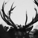 Ihsahn (Orchestral Version) (Hardbook CD)