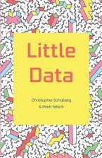 Little Data