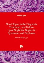 Novel Topics in the Diagnosis, Treatment, and Follow-Up of Nephritis, Nephrotic Syndrome, and Nephrosis
