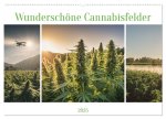 Wunderschöne Cannabisfelder (Wandkalender 2025 DIN A2 quer), CALVENDO Monatskalender