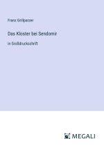 Das Kloster bei Sendomir