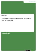 Armut und Bildung. Der Roman 