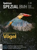Spektrum Spezial BMH 2/2024 - Vögel