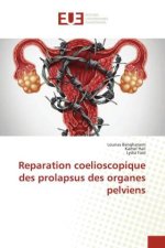 Reparation coelioscopique des prolapsus des organes pelviens