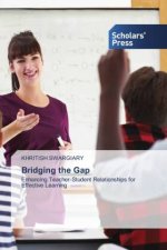 Bridging the Gap