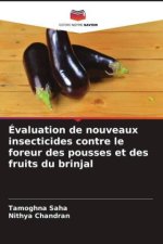 Évaluation de nouveaux insecticides contre le foreur des pousses et des fruits du brinjal