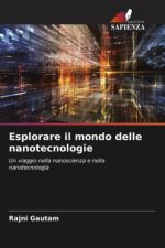 Esplorare il mondo delle nanotecnologie