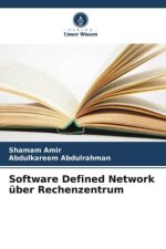 Software Defined Network über Rechenzentrum