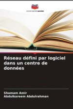 Réseau défini par logiciel dans un centre de données