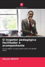 O inspetor pedagógico facilitador e acompanhante