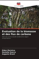Évaluation de la biomasse et des flux de carbone