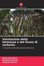 Valutazione della biomassa e del flusso di carbonio