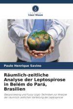 Räumlich-zeitliche Analyse der Leptospirose in Belém do Pará, Brasilien