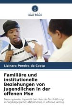 Familiäre und institutionelle Beziehungen von Jugendlichen in der offenen Mse