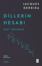 Dillerin Hesabi