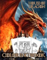House of Dragon coloring book
