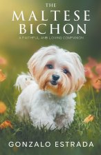 The Maltese Bichon