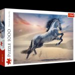 Puzzle 1000el. Majestatyczny koń