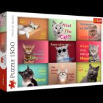 Puzzle 1500el. Zabawne kocie portrety