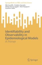 Identifiability and Observability in Epidemiological Models