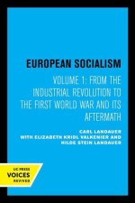 European Socialism, Volume I – From the Industrial Revolution to the First World War and Its Aftermath