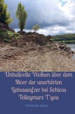 Unheilvolle Wolken über dem Moor der unerhörten Liebesseufzer bei Schloss Tolleymure t'you