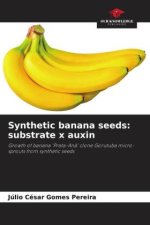 Synthetic banana seeds: substrate x auxin