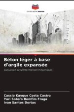 Béton léger à base d'argile expansée