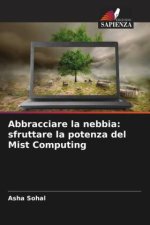 Abbracciare la nebbia: sfruttare la potenza del Mist Computing