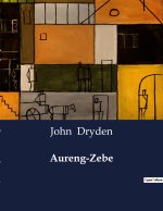 AURENG ZEBE