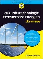 Zukunftstechnologie Erneuerbare Energien für Dummies
