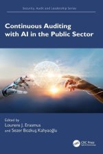 Continuous Auditing with AI in the Public Sector