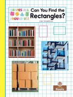 Can You Find the Rectangles?
