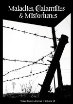 Tokyo Poetry Journal - Volume 13