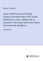 Texas; A Brief Account of the Origin, Progress and Present State of the Colonial Settlements of Texas, Together with an Exposition of the Causes which