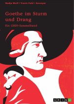 Goethe im Sturm und Drang. Motive und Sprache in Lyrik und Drama