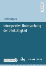 Introspektiv-empirische Ergänzung der Kognitiven-Phänomenologie-Debatte mit besonderer Berücksichtigung der Denktätigkeit