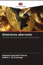 Itinéraires aberrants