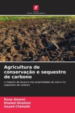 Agricultura de conservaç?o e sequestro de carbono