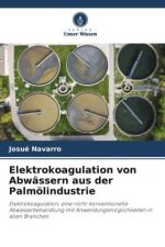 Elektrokoagulation von Abwässern aus der Palmölindustrie