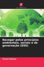 Navegar pelos princípios ambientais, sociais e de governaç?o (ESG)
