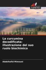 La curcumina decodificata: illustrazione del suo ruolo biochimico