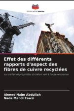 Effet des différents rapports d'aspect des fibres de cuivre recyclées