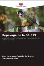 Repavage de la BR 319